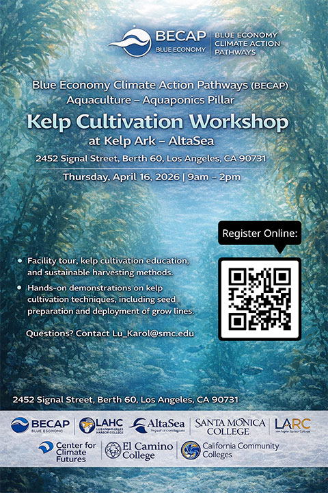 Kelp Cultivation Workshop Flier