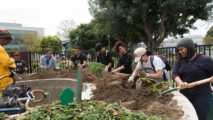 Students working in the garden