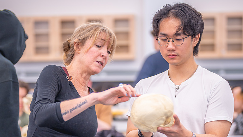 Examining a skull in the lab
