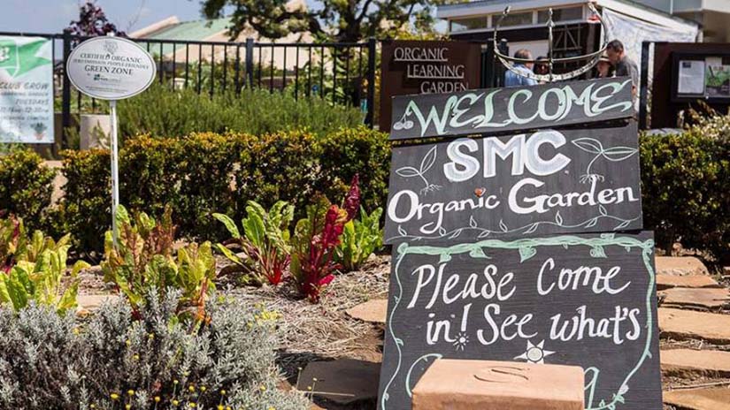 The Organic Learning Garden is one facet of a host of sustainability efforts at SMC