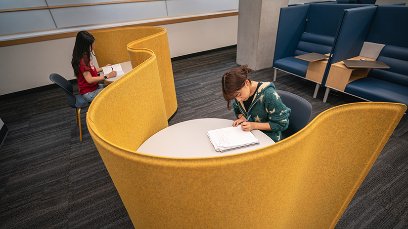 Vibrant carrels provide welcoming spaces for study