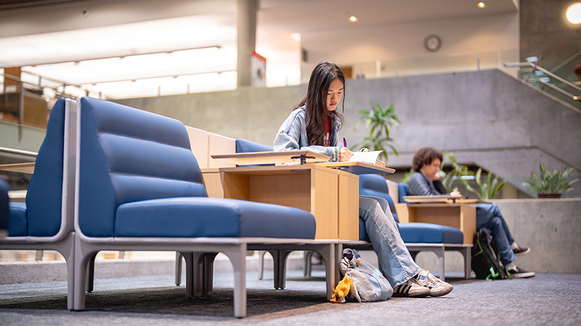 Reading in the quiet of the library.