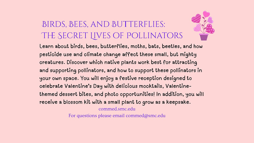 Birds, Bees, and Butterflies: The Secret Lives of Pollinators at SMC Malibu