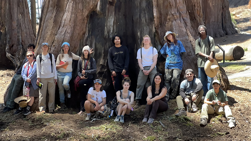 Alexandra Tower's Botany 3 Class on a field trip to the Sierras