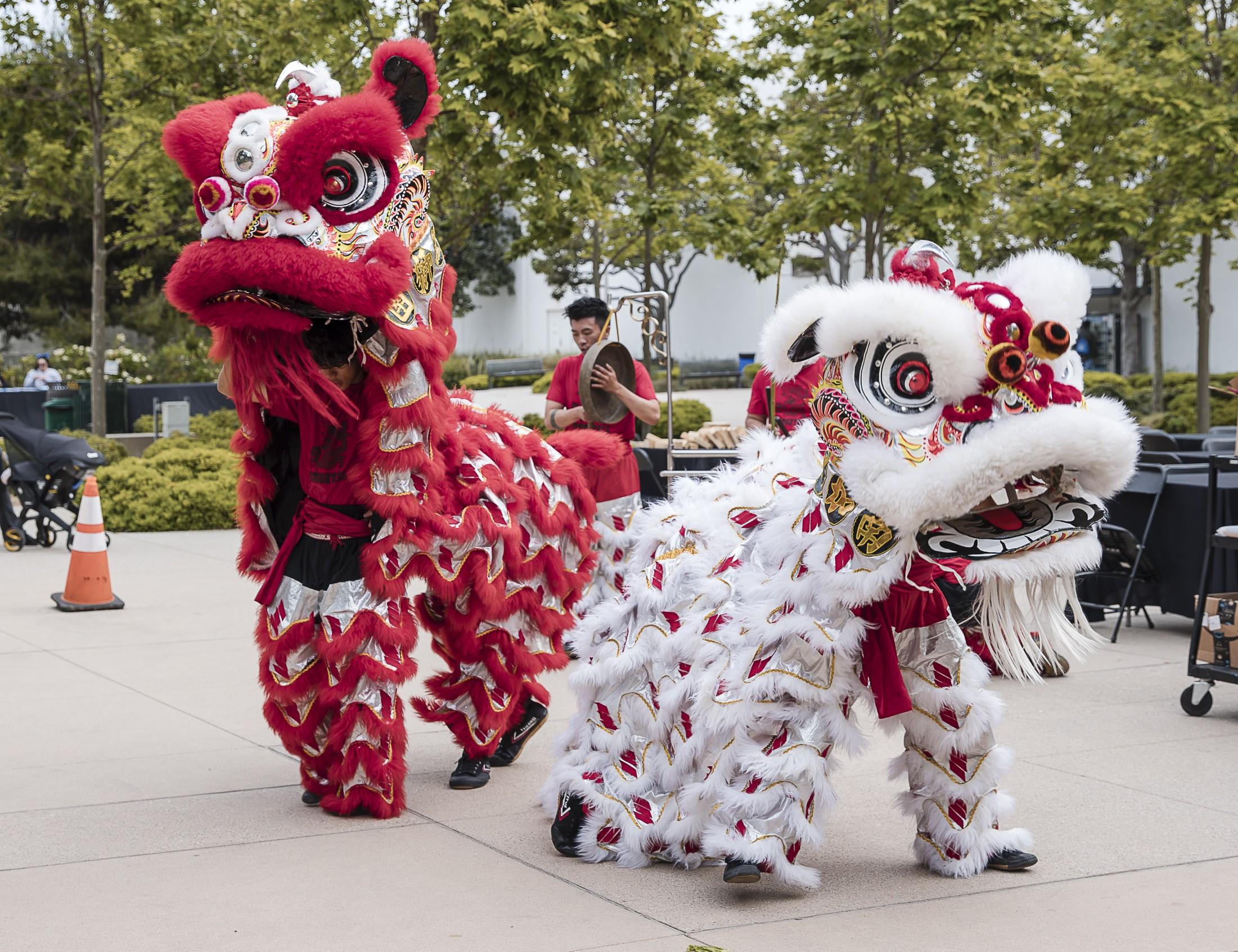 Two lions, one red and one white, dancing.
