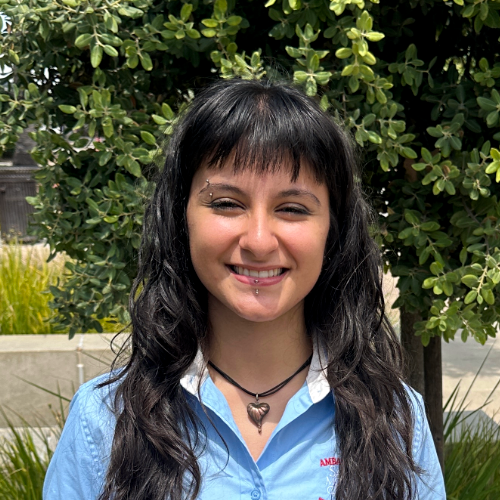 Student Ambassador